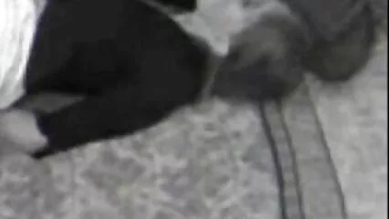 زندگی بخش رس چوسنا؛ خارجی از کون
