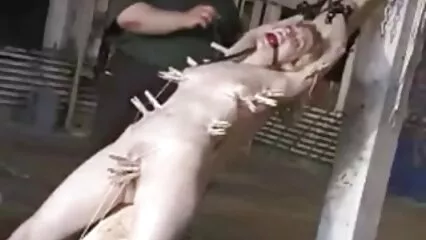 بلی کو اچھی طرح فیلم سوپر خارجی خفن سے بھریں۔