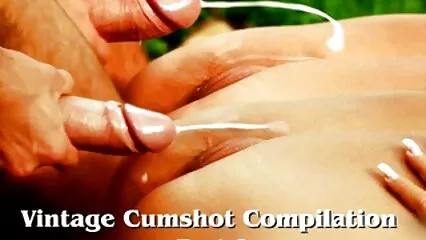 تابوت میں سے دو آخر کی مضبوطی کی ضمانت دیتے فیلم سگسی خارجی جدید ہیں۔