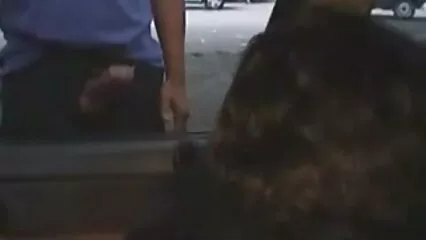امیر لوگ بھی بھاڑ میں. سوپر خارجی از کون