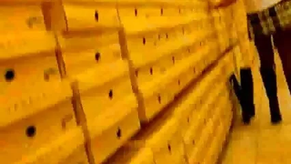 عدن صحنه های سکسی فیلم های خارجی کے باغات۔